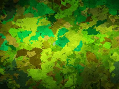 kamuflaj askeri geçmişi