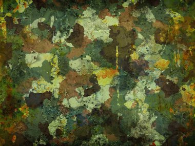 kamuflaj askeri geçmişi