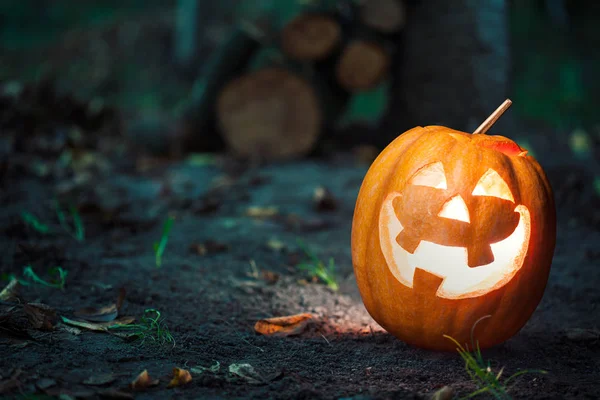 Halloween Jack-o-lantern — Stockfoto
