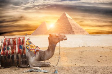 Mısır Kahire - Giza