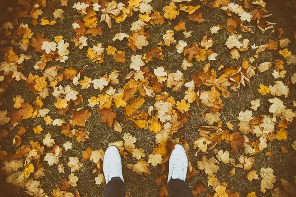 Obraz Nogi Białe Buty Jesień Liści — Zdjęcie stockowe
