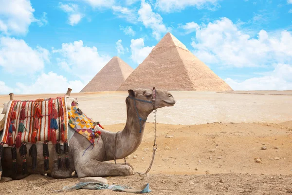 Ägypten kairo - giza — Stockfoto