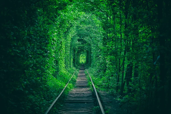 Tunnel Van Liefde Groene Bomen Spoorweg Oekraïne — Stockfoto