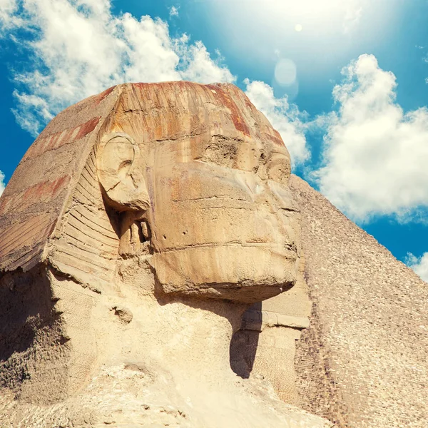 Vista General Gran Esfinge Giza Egipto — Foto de Stock