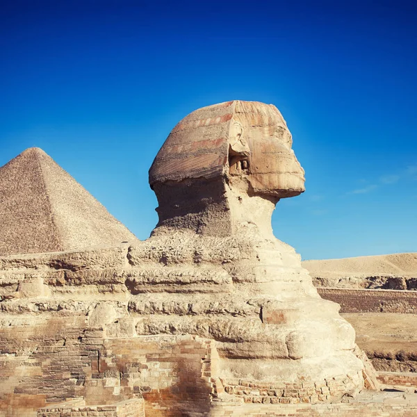 Veduta Generale Della Grande Sfinge Giza Egitto — Foto Stock