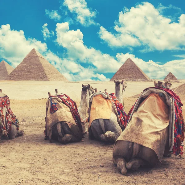 Egypten Kairo - Giza — Stockfoto