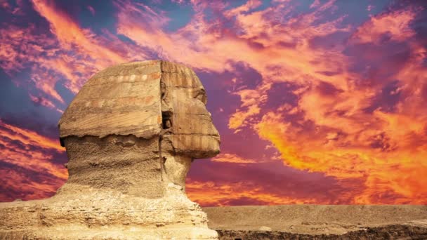 Ägypten Kairo Giza Allgemeine Ansicht Der Pyramiden — Stockvideo