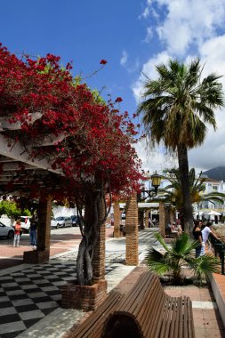 Bitki çiçek ve palmiye ağacı ile tırmanma şehir manzarası