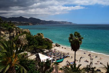 Deniz manzara plaj ve palmiye ağacı kayalarda ile görünümünü