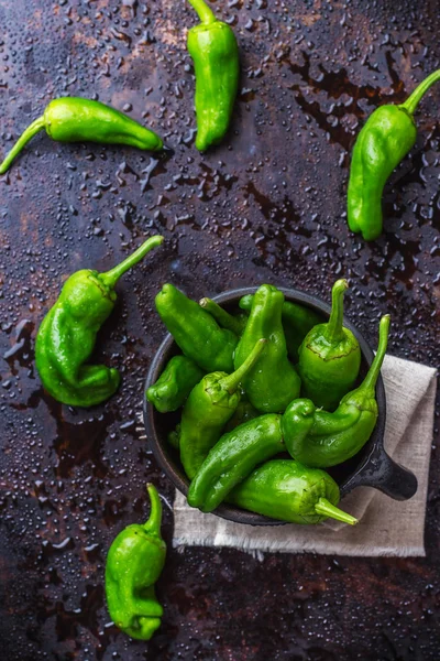Raw green peppers jalapeno pimientos de padron traditional spanish tapas — Stock Photo, Image