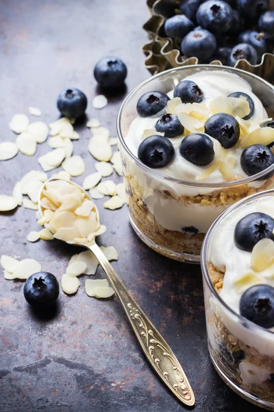 自制酸奶麦片牛奶什锦早餐和蓝莓 — 图库照片