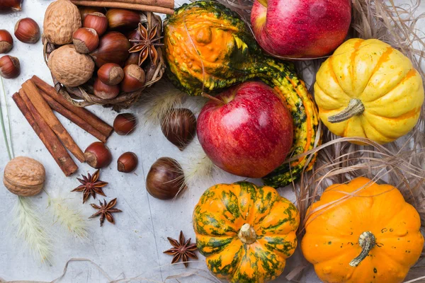 Kabak fındık kestane ile sonbahar sonbahar Cadılar Bayramı natürmort kompozisyon