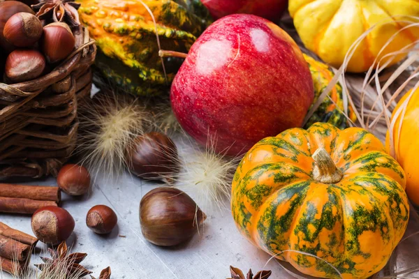 Kabak fındık kestane ile sonbahar sonbahar Cadılar Bayramı natürmort kompozisyon