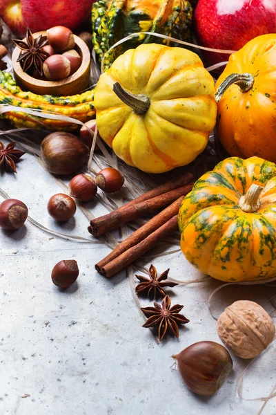 Kabak fındık kestane ile sonbahar sonbahar Cadılar Bayramı natürmort kompozisyon
