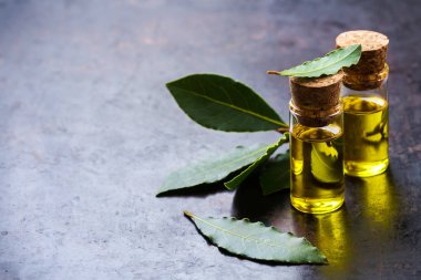 Doğal Defne defne uçucu yağ spa ve güzellik için