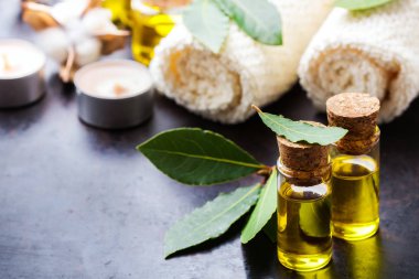 Doğal Defne defne uçucu yağ spa ve güzellik için