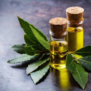 Doğal Defne defne uçucu yağ spa ve güzellik için