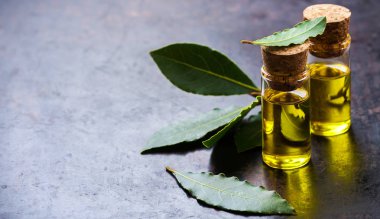 Doğal Defne defne uçucu yağ spa ve güzellik için