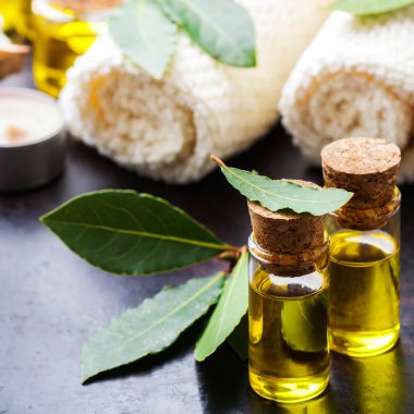 Doğal Defne defne uçucu yağ spa ve güzellik için