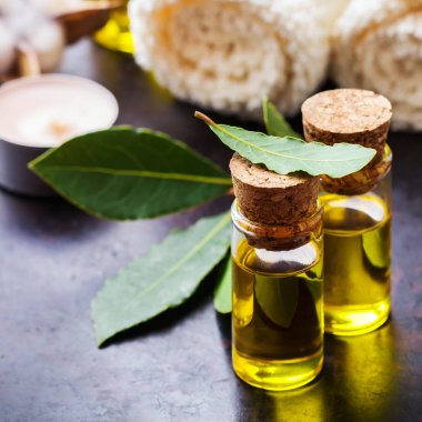 Doğal Defne defne uçucu yağ spa ve güzellik için