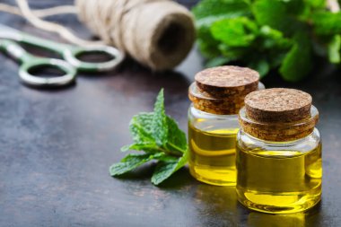 Yeşil yaprakları ile organik temel nane yağı