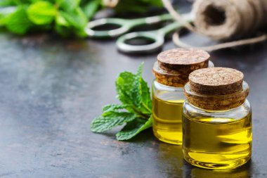 Yeşil yaprakları ile organik temel nane yağı