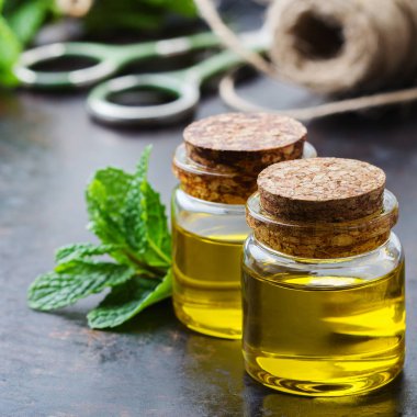 Yeşil yaprakları ile organik temel nane yağı