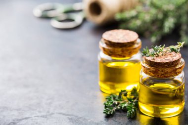 Yeşil yaprakları ile organik temel kekik yağı