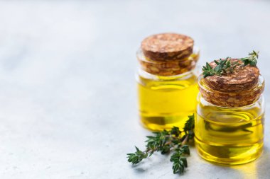 Yeşil yaprakları ile organik temel kekik yağı