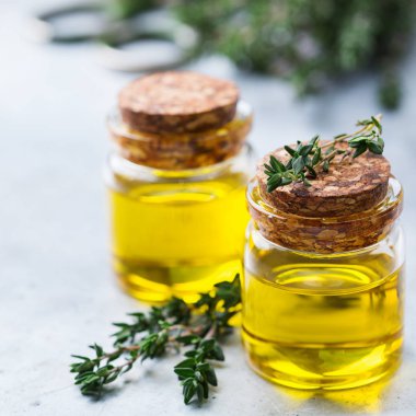 Yeşil yaprakları ile organik temel kekik yağı