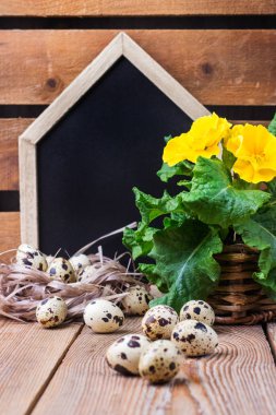 Çiçekler ve bıldırcın yumurtalı Paskalya Festival kompozisyon