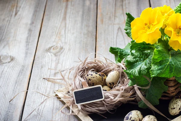 De feestelijke samenstelling Pasen met bloemen en kwartel eieren — Stockfoto