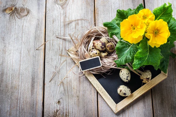 De feestelijke samenstelling Pasen met bloemen en kwartel eieren — Stockfoto