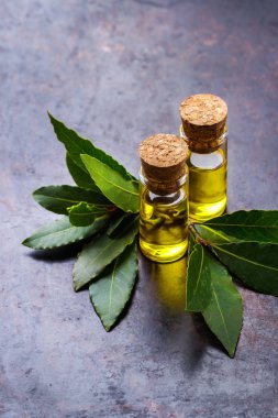 Doğal Defne defne uçucu yağ spa ve güzellik için