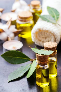 Doğal Defne defne uçucu yağ spa ve güzellik için