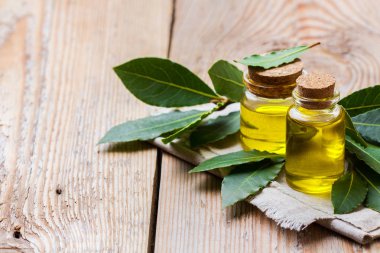 Doğal Defne defne uçucu yağ spa ve güzellik için