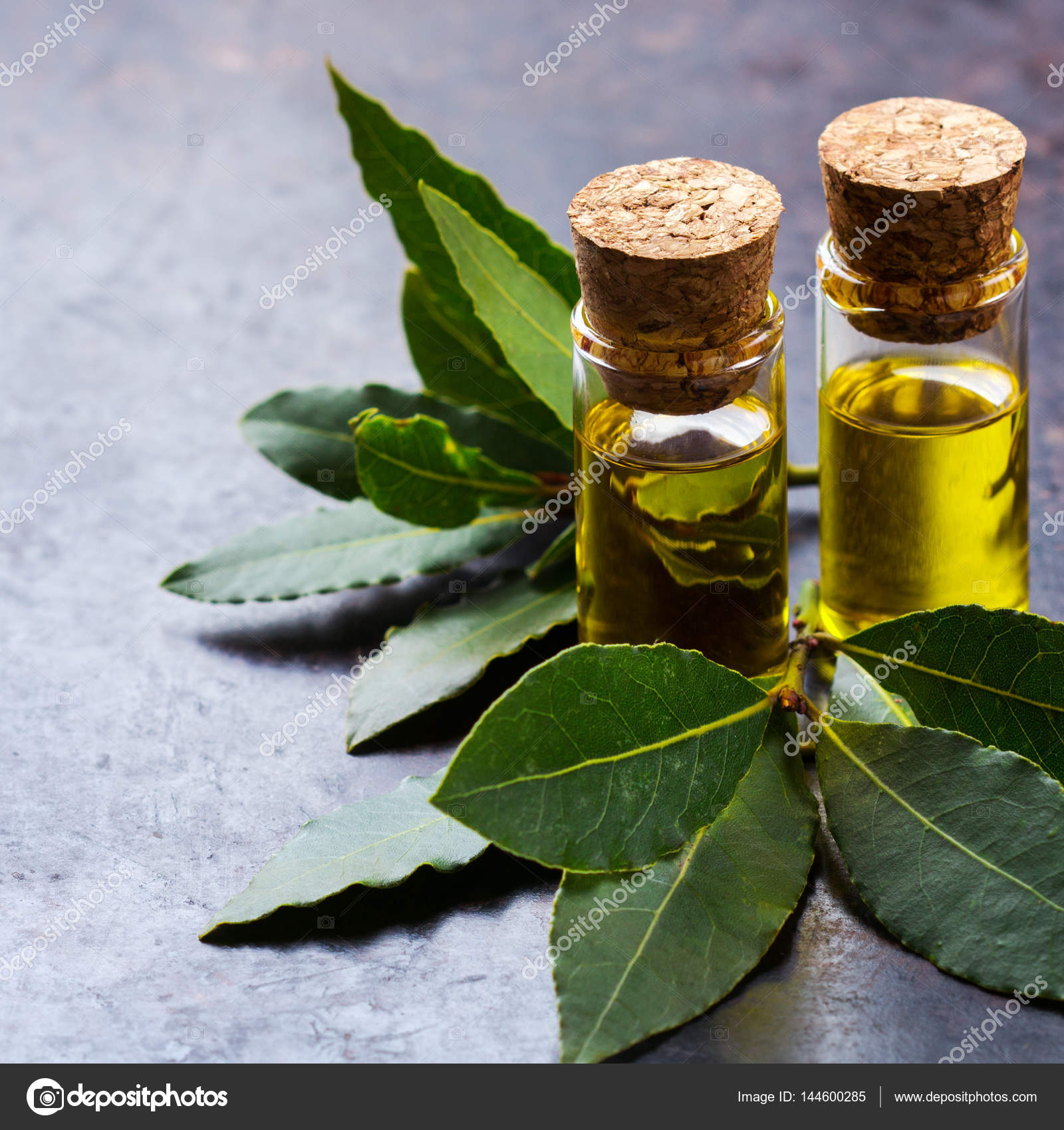 Natural bay laurel essential oil for beauty and spa Stock Photo by ©aamulya 144600285