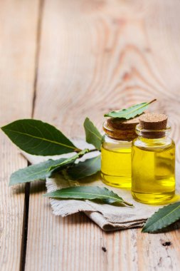 Doğal Defne defne uçucu yağ spa ve güzellik için