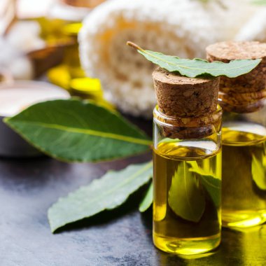 Doğal Defne defne uçucu yağ spa ve güzellik için
