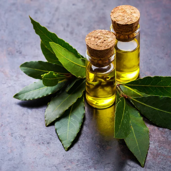 Doğal Defne defne uçucu yağ spa ve güzellik için