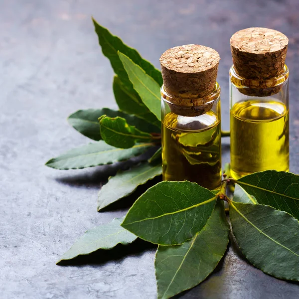 Doğal Defne defne uçucu yağ spa ve güzellik için