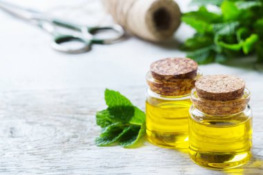 Yeşil yaprakları ile organik temel nane yağı