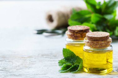 Yeşil yaprakları ile organik temel nane yağı