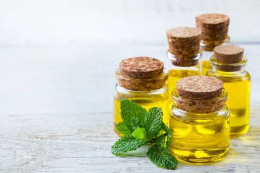 Organik uçucu yağ ile yeşil nane yaprakları, spa konsept