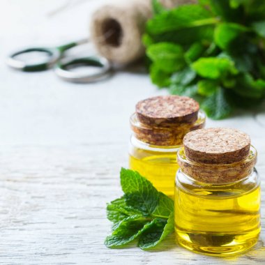 Yeşil yaprakları ile organik temel nane yağı