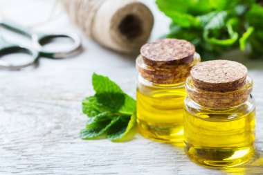 Yeşil yaprakları ile organik temel nane yağı