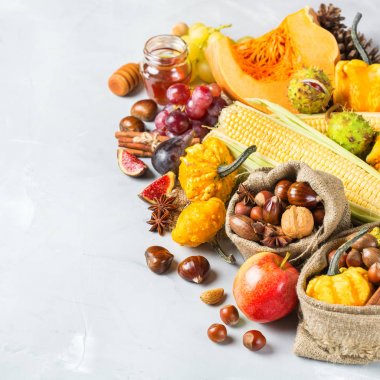 Sonbahar sonbahar hasat arka plan Kabak elma kestane Mısır ile