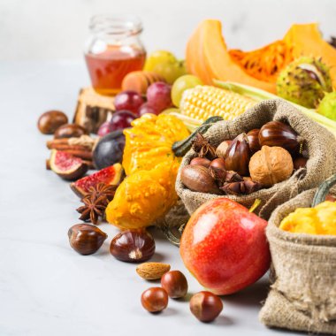 Sonbahar sonbahar hasat arka plan Kabak elma kestane Mısır ile