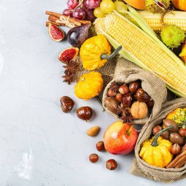 Sonbahar sonbahar hasat arka plan Kabak elma kestane Mısır ile