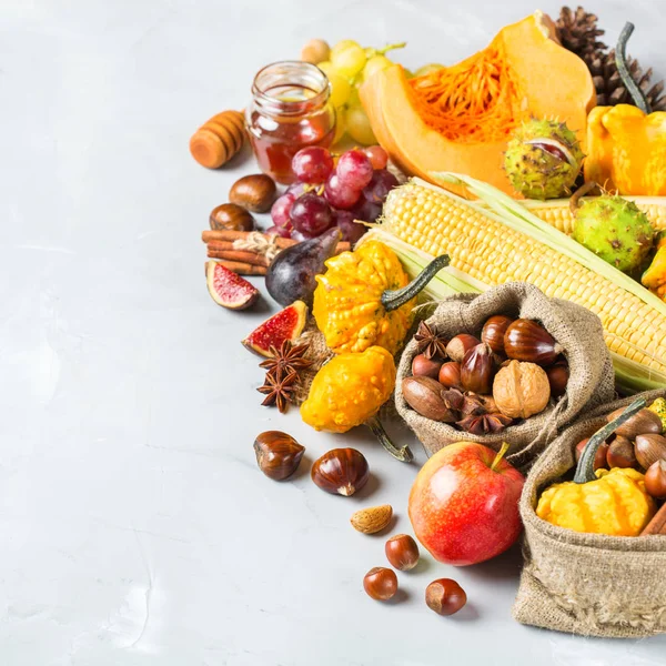 Sonbahar sonbahar hasat arka plan Kabak elma kestane Mısır ile